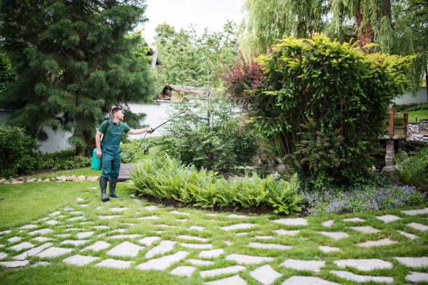 Best Best Pest Control Companies  in Seadrift, TX