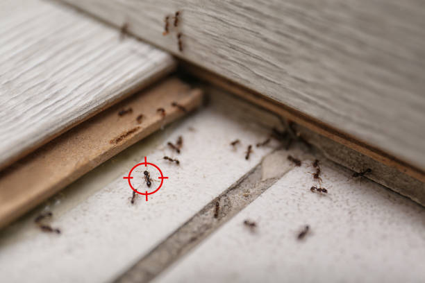 Pest Control for Restaurants in Seadrift, TX