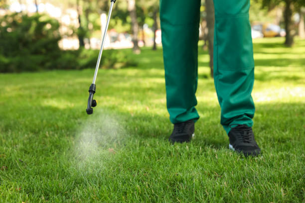 Best Bed Bug Extermination  in Seadrift, TX