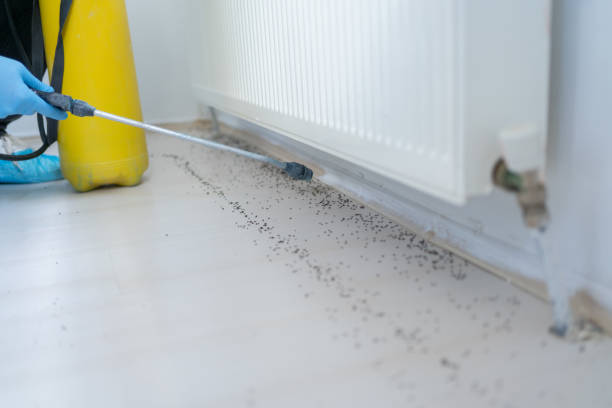 Best Pest Control for Restaurants  in Seadrift, TX